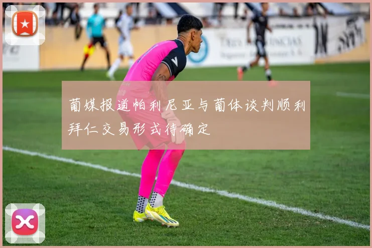 葡媒报道帕利尼亚与葡体谈判顺利拜仁交易形式待确定