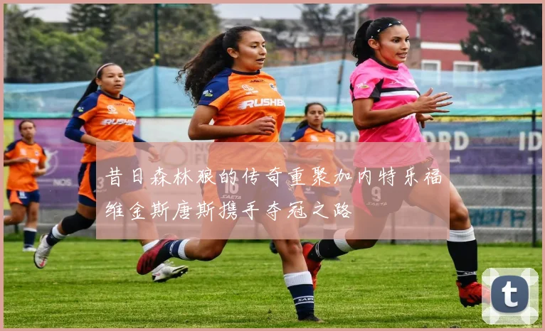 昔日森林狼的传奇重聚加内特乐福维金斯唐斯携手夺冠之路