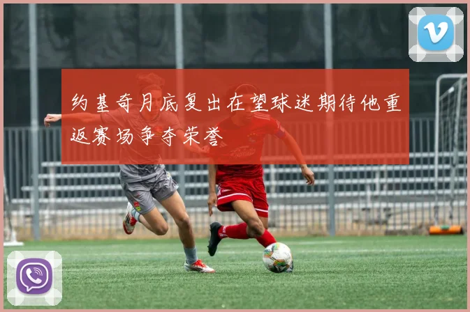 约基奇月底复出在望球迷期待他重返赛场争夺荣誉